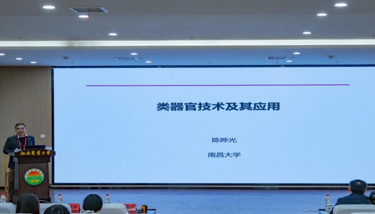image2.jpeg